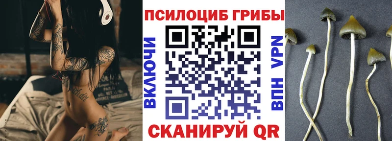 гидра как войти  Александровск  Псилоцибиновые грибы Magic Shrooms  где продают  